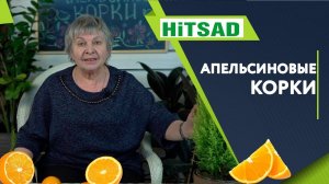 ВЫ БУДЕТЕ В ШОКЕ!!! ОПРЫСКИВАЙТЕ КОМНАТНЫЕ РАСТЕНИЕ АПЕЛЬСИНОМ  ✔️ СОВЕТЫ ОТ ХИТСАД ТВ