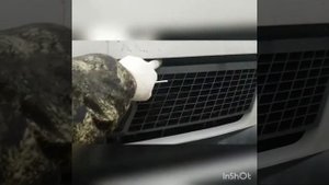 Как открыть капот Рено Маскотт