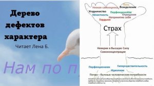 05. Дерево дефектов характера. Дефекты характера