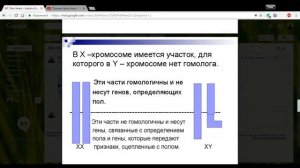 Биология 10 класс 32-33 неделя Наследование признаков, сцепленных с полом