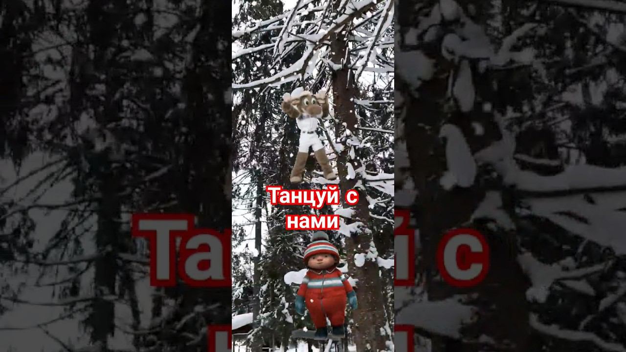 Танцуй пока молодой♻️[Olga Pak]#зима2024 #история #ктокуда #shorts #видео #лес #отдых#ольгапак