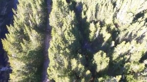 Can-Am Outlander MAX XT 650