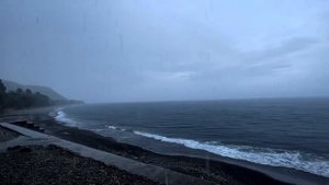 Какие люди любят дождь в дождливые дни?