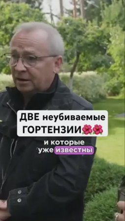 2 сорта ГОРТЕНЗИИ, которые 100% приживутся
