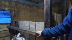 Стойла для коз