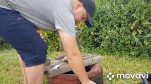 Ставлю самовар?Как разжечь самовар на шишках