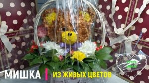 Животные - мишка из цветов. Цветочная композиция в виде животных, медведь. Фигурка медведя.