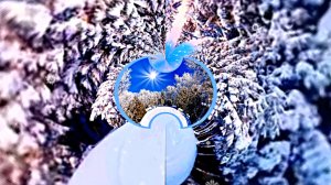 ФотоШоу PRO!!! Проекты ФотоШоу PRO! Проект просто Зима 4 от Киностудии Мудрого Кота Тимофея!