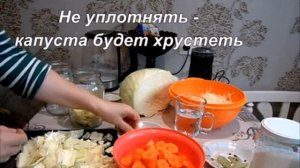 Маринованная пилюска быстрого приготовления. Хранится долго в холодильнике. Капуста хрустит.