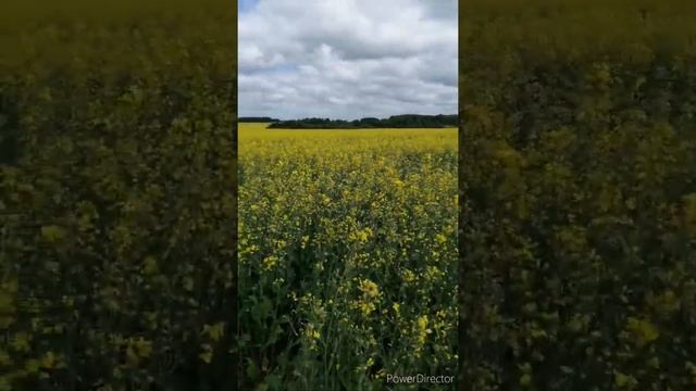 Широка страна моя родная смотреть онлайн