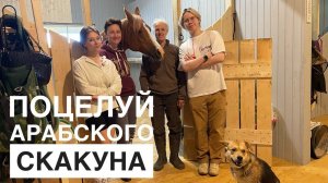 Интервью с хозяйкой ЛОШАДИ