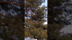 Ритуал ,чтобы вернули долг. Заговор на должника.