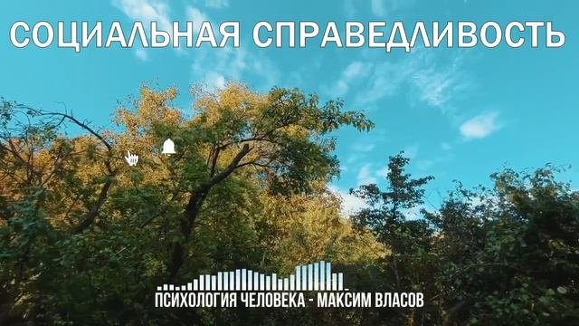Социальная Справедливость - Для Чего Нужна Социальная Справедливость - Психология Человека