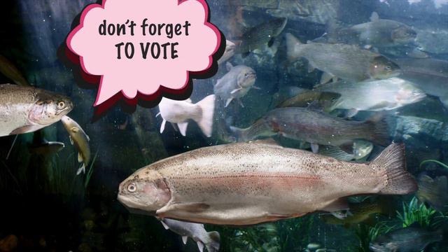 Episode 31 Video Michael Gibson смотреть онлайн