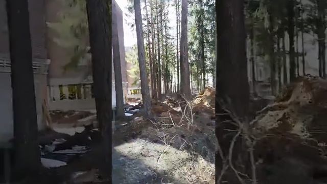 ЖК Всеволожский штиль смотреть онлайн