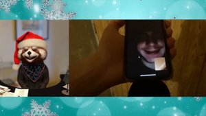 Россия23 (25,26,27) | реакция Red Panda | @vesti_rossia23