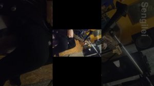 Шизгара бас кавер