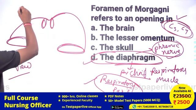 GIT System MCQ MSN & Staff Nurse Online Classes, Nursing | Testpaperlive смотреть онлайн