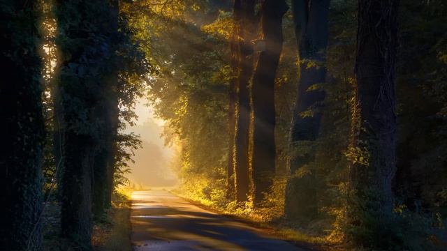 "Кого ты мне родила?" - жена решила отомстить мужу-тирану. Этот сюрприз он не забудет никогда... смотреть онлайн