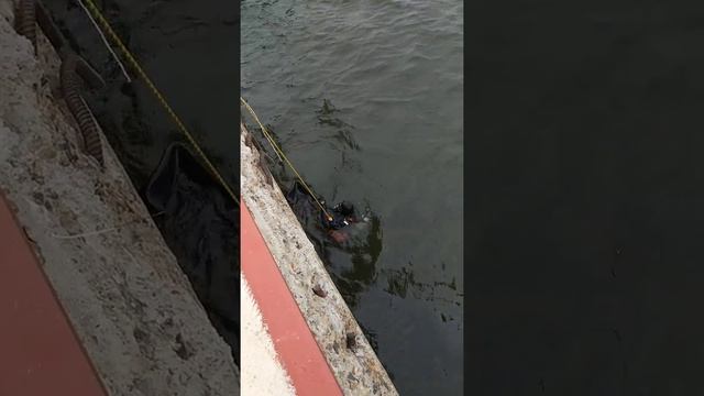 #Водолаз#работа#ремонт смотреть онлайн