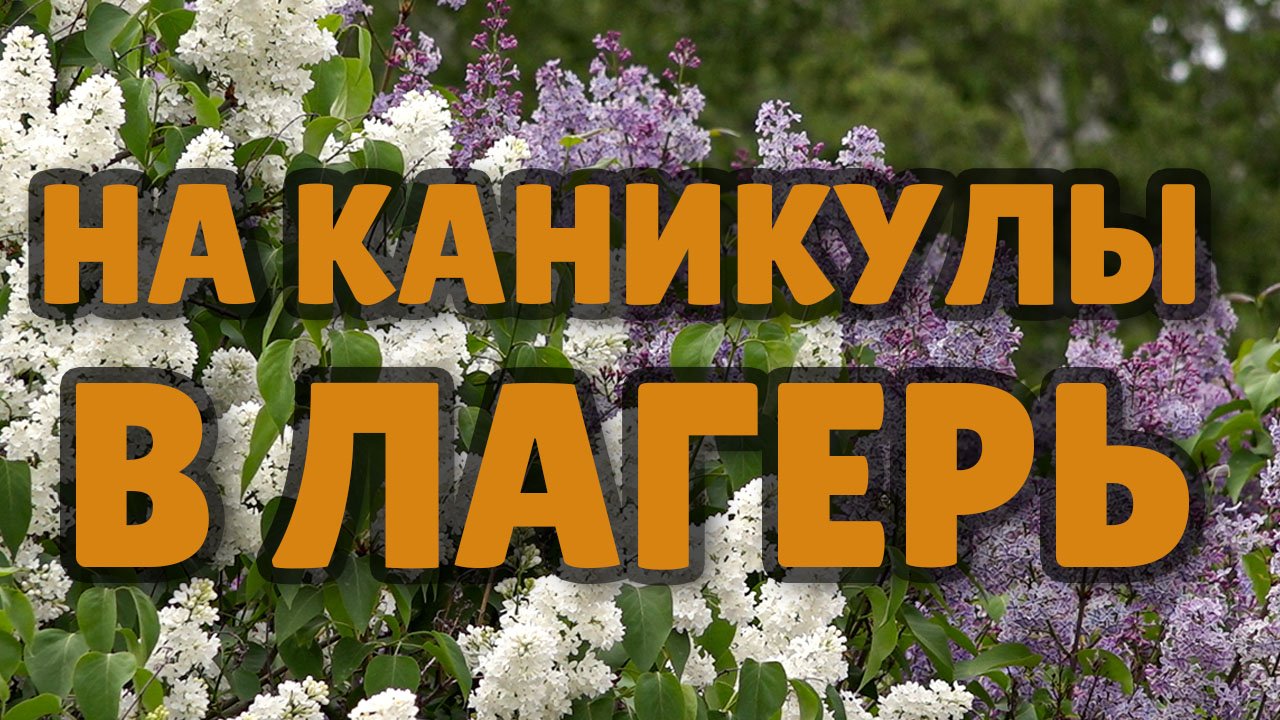 В загородных оздоровительных лагерях начинаются летние смены