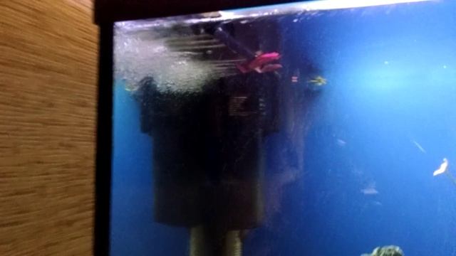 Аквариумный фильтр с искусственным водопадом [Aquarium filter with artificial waterfall]