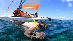 Куба. Варадеро. Карибское Море. Плавание с рыбами на коралловом рифе.