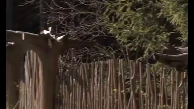 !!!!Купеческий дом  Необычный стиль дома