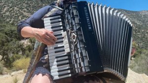 "I watch the sky and think" Vintage Weltmeister accordion Cordal. Дивлюсь я на небо