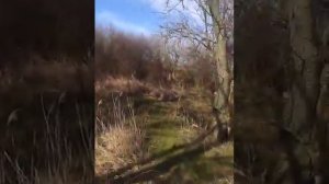 участок в Денисовке (район водохранилища)