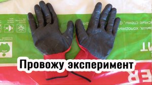 Обработанная доска через сутки