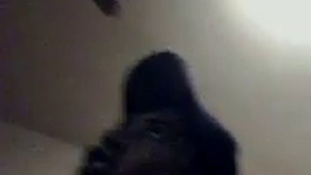 Grilo x Missias da Basinha "Tira a mao de mim" смотреть онлайн