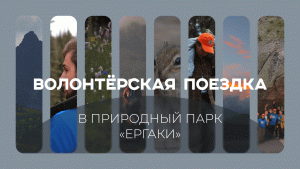 Волонтёрская поездка в природный парк «Ергаки»