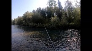 Рыбалка на ХАРИУСА  Р ЧЁРНЫЙ ИЮС