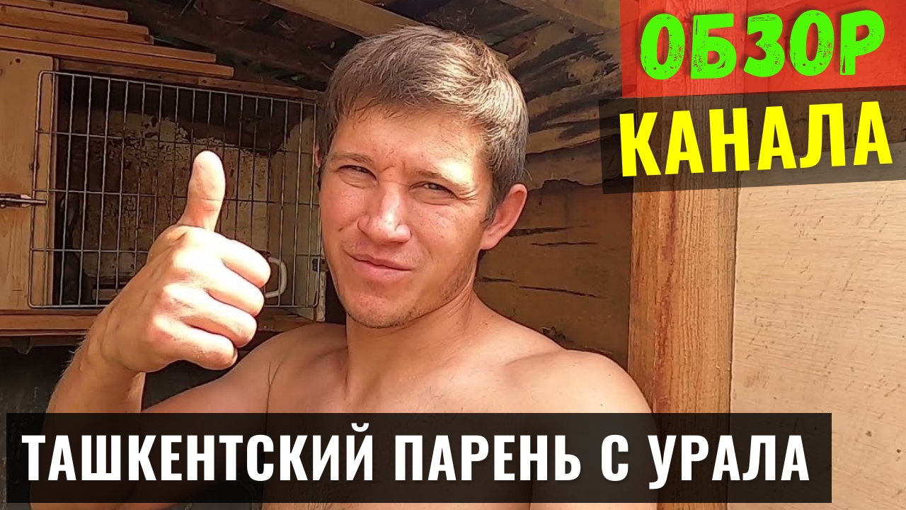 Ташкентский парень с Урала Обзор и Доход Ютуб Канала