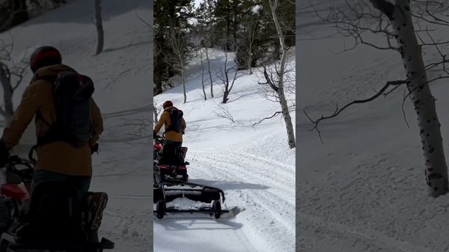 Ski trails need to be perfect with compact snow groomer #snow #skiing #xcskiing