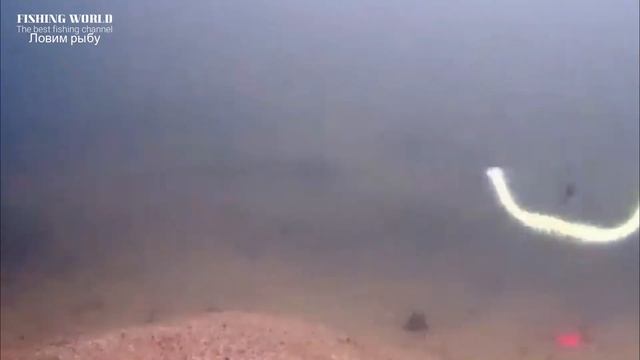 ПОЧЕМУ Я РАНЬШЕ ПРО ЭТО НЕ ЗНАЛ Приманка из СССР Зимняя рыбалка всегда с уловом winter fishing смотреть онлайн