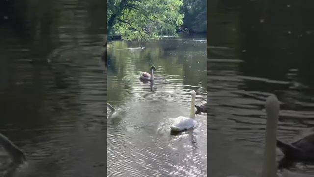 Успакаевает смотреть онлайн