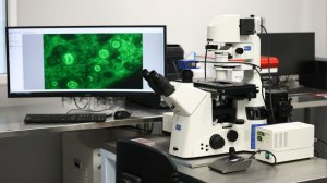 В Обнинске открылась уникальная лаборатория для лечения онкобольных