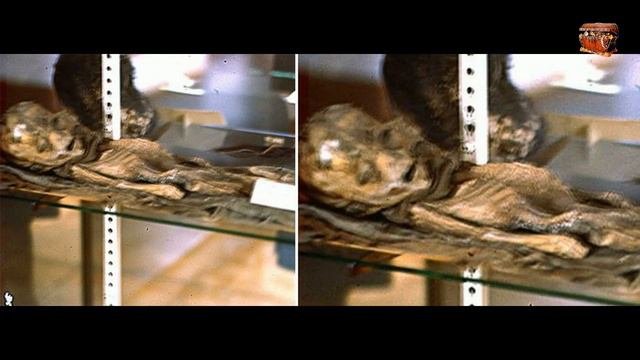 ИНОПЛАНЕТЯНИН КОТОРОГО ПОКАЗАЛИ