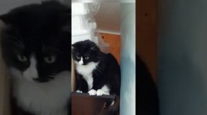 Чтобы такого сделать плохого