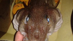 На рыбалке.#рыбалка