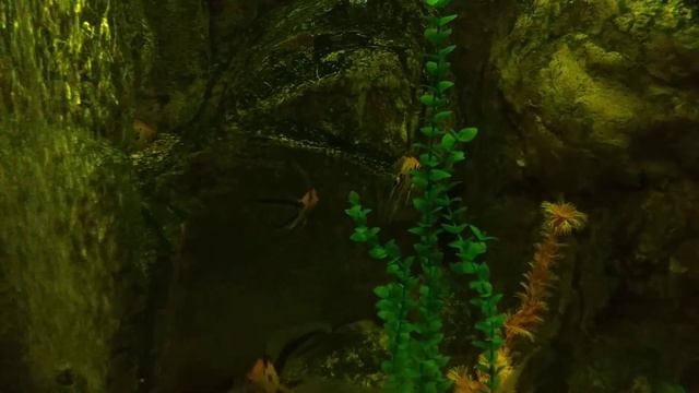 Океанариум Сочи смотреть онлайн