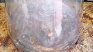 Золото из Разъёмов СССР. Сколько золота в разъёмах?How Much Gold was in Soviet Switches?