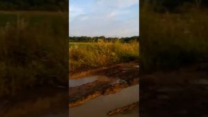 Пробокс не 4вд. Прёт как танк