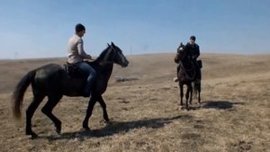 конная прогулка на лошадях карачаевской породы