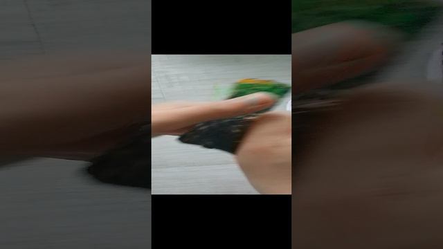 вот точно всё мои поделки из картона и бумаги