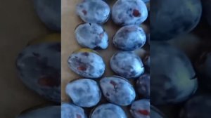 Сушённые ЧЕРНОСЛИВЫ в духовке?????