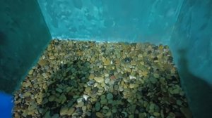 Душевой поддон из гальки