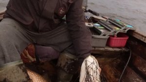 Карелия | Сентябрь 2020 | Сямозеро | Рыбалка | Щука на 11,5 кг